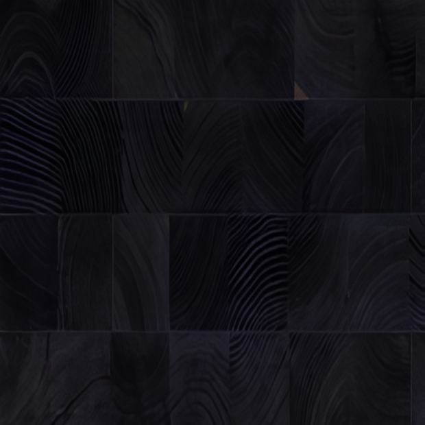 ZMN-002.png