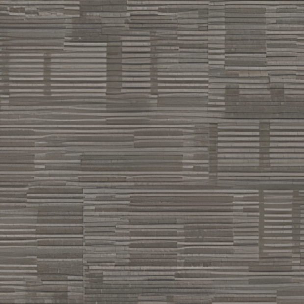 XSMD1001-2.png